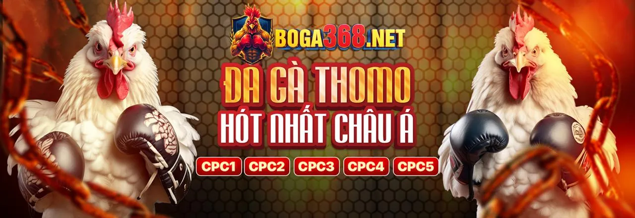 Đá gà trực tuyến Betvision với các trận đấu sôi động
