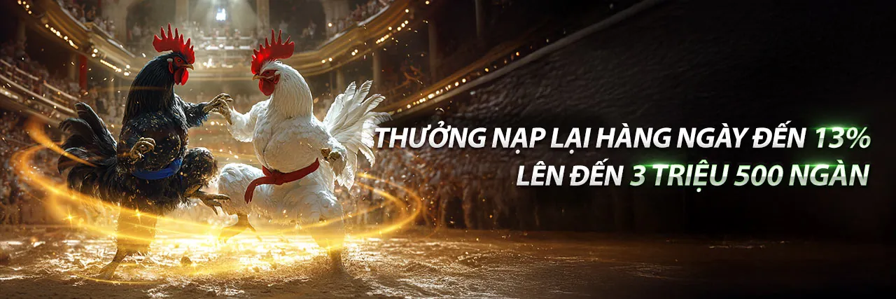 Sân vận động với ánh đèn rực rỡ, tượng trưng cho sự kiện thể thao lớn tại Betvision Link Vào 2026