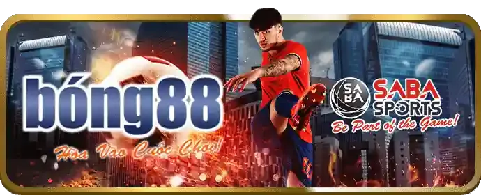Hỗ trợ khách hàng 24/7 Betvision