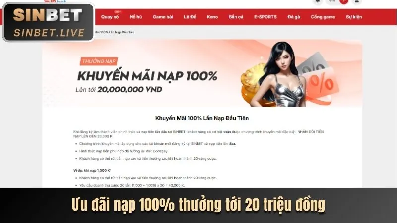 Chương trình VIP Betvision với các phần thưởng độc quyền
